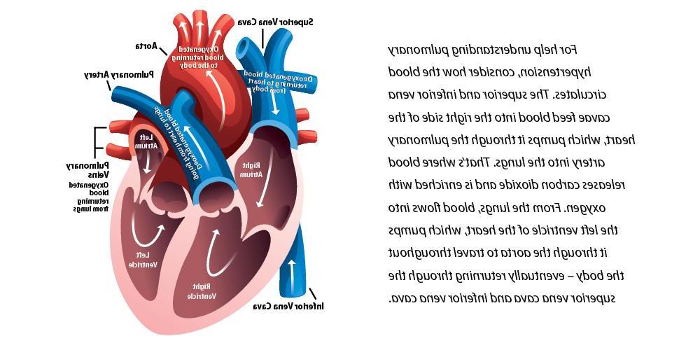 什么是肺动脉高压?